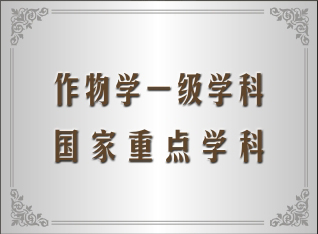 r(nng)I(y)W(xu)su(y)