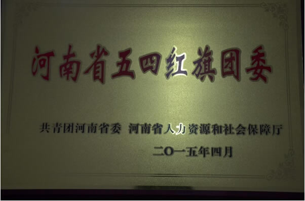 河南成人大學(xué)團(tuán)委榮獲“河南省五四紅旗團(tuán)委”榮譽(yù)稱號(hào).jpg