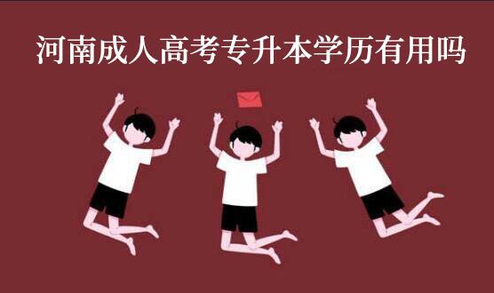 2020ϳ˸߿W(xu)vÆ᣿Áʲô